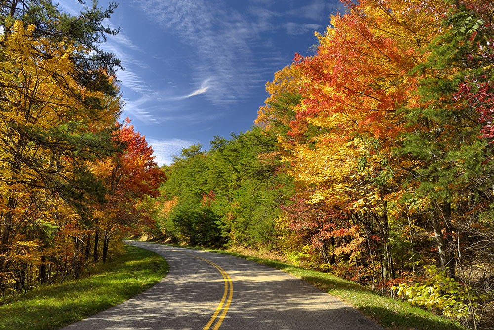 Beautiful autumn colors, Tennessee. Beautiful fall colors. Photo 38498111 © Darrell Young | Dreamstime.com